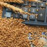 ГК «G.R. Agro» и тренды зернового рынка
