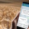 Чат-боты для аграриев: G.R. Agro с клиентами нон-стоп