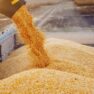 На елеваторах заготовили 15 000+ тонн озимого ячменю 2021/22