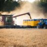 В Україні прогнозують рекордний врожай зернових