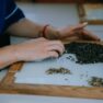 Второй этап заготовок на элеваторах| Оценка качества.